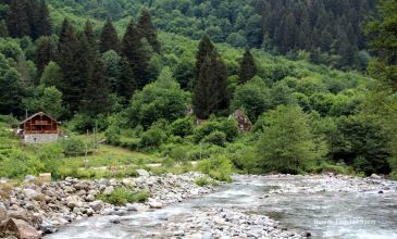 Karadeniz Rüyası Yaylalar Ve Batum Turu (4 Gece Otel Konaklamalı)